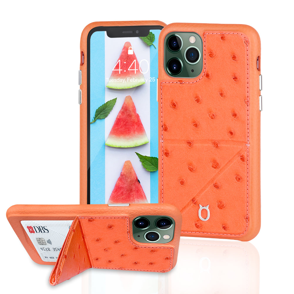 Ostrich Leather Phone Case with stand function_ iPhone 11 Pro