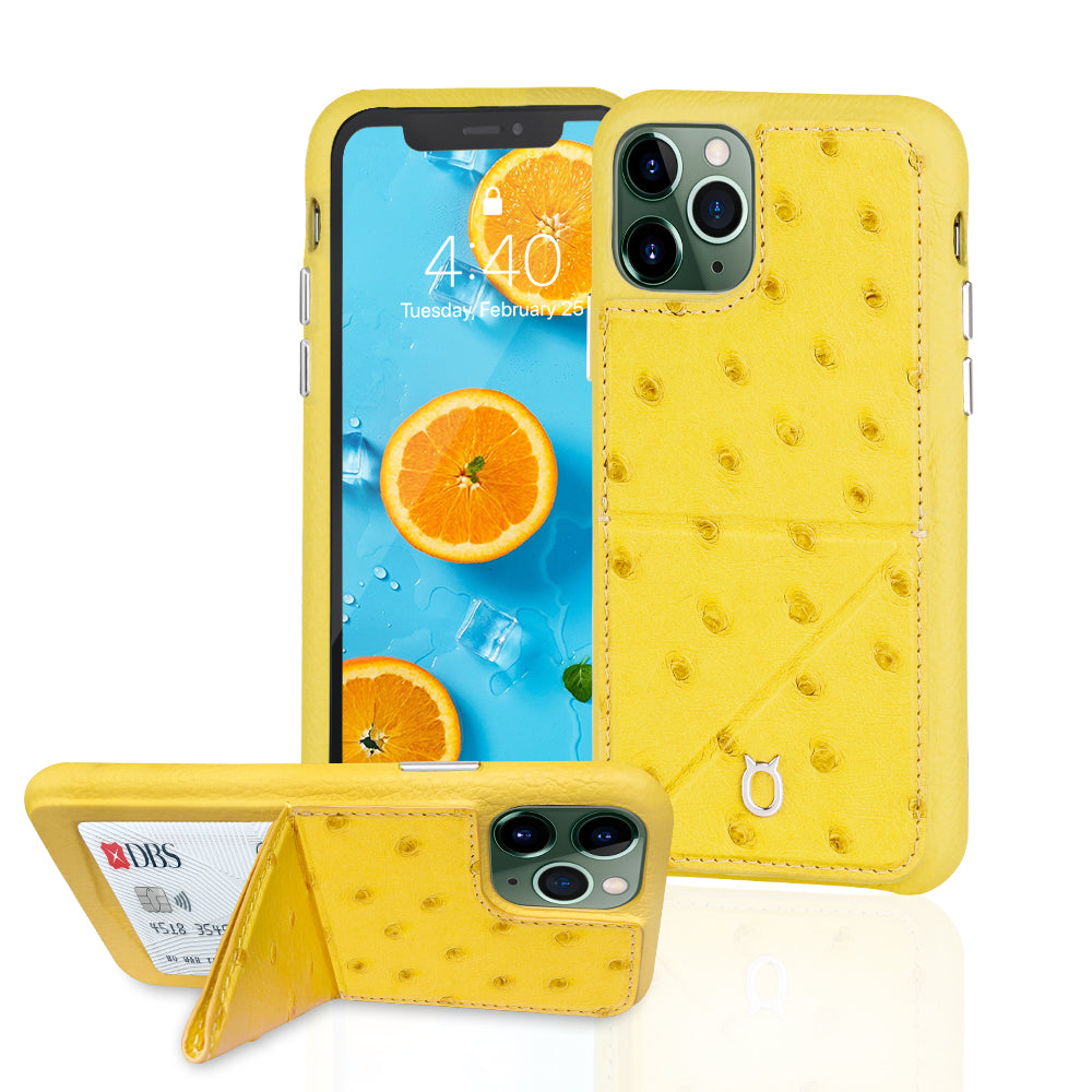 Ostrich Leather Phone Case with stand function_ iPhone 11 Pro